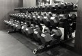 IMG_1123.jpeg
